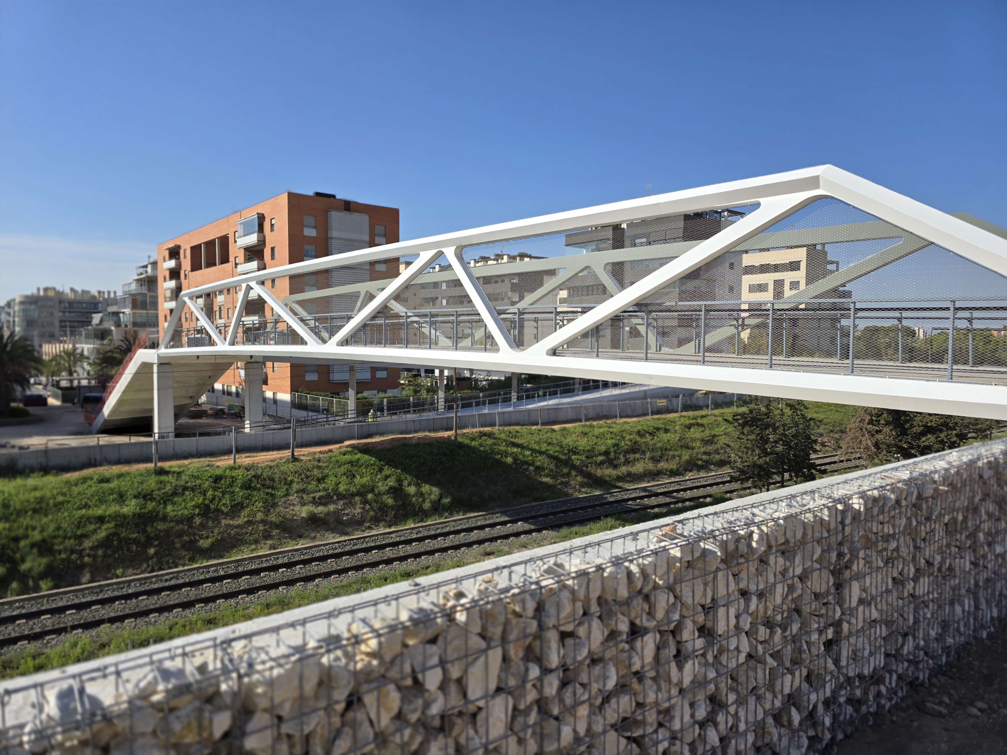 20260326_093950 fly_10947.jpg